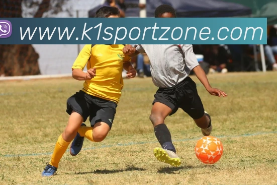 K1体育平台生态图